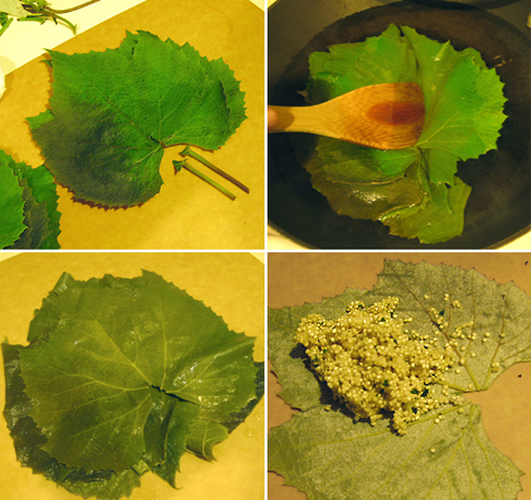 How to Blanch Grape Leaves
